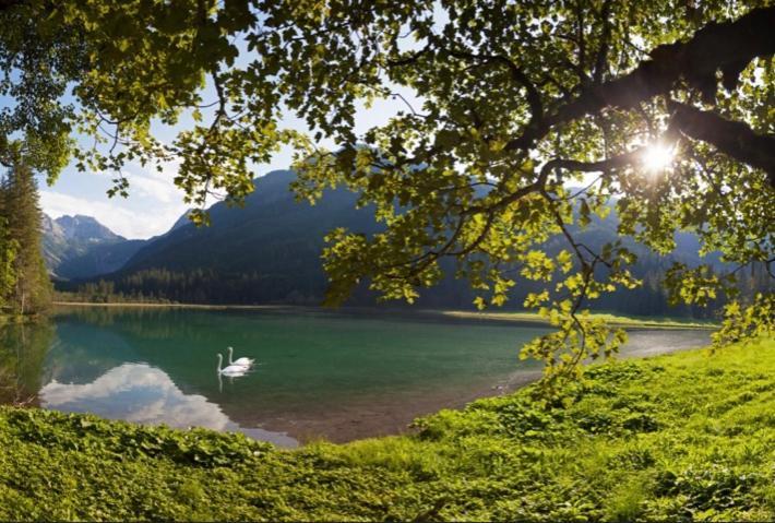 Hotel Alpina Kleinarl Exteriör bild