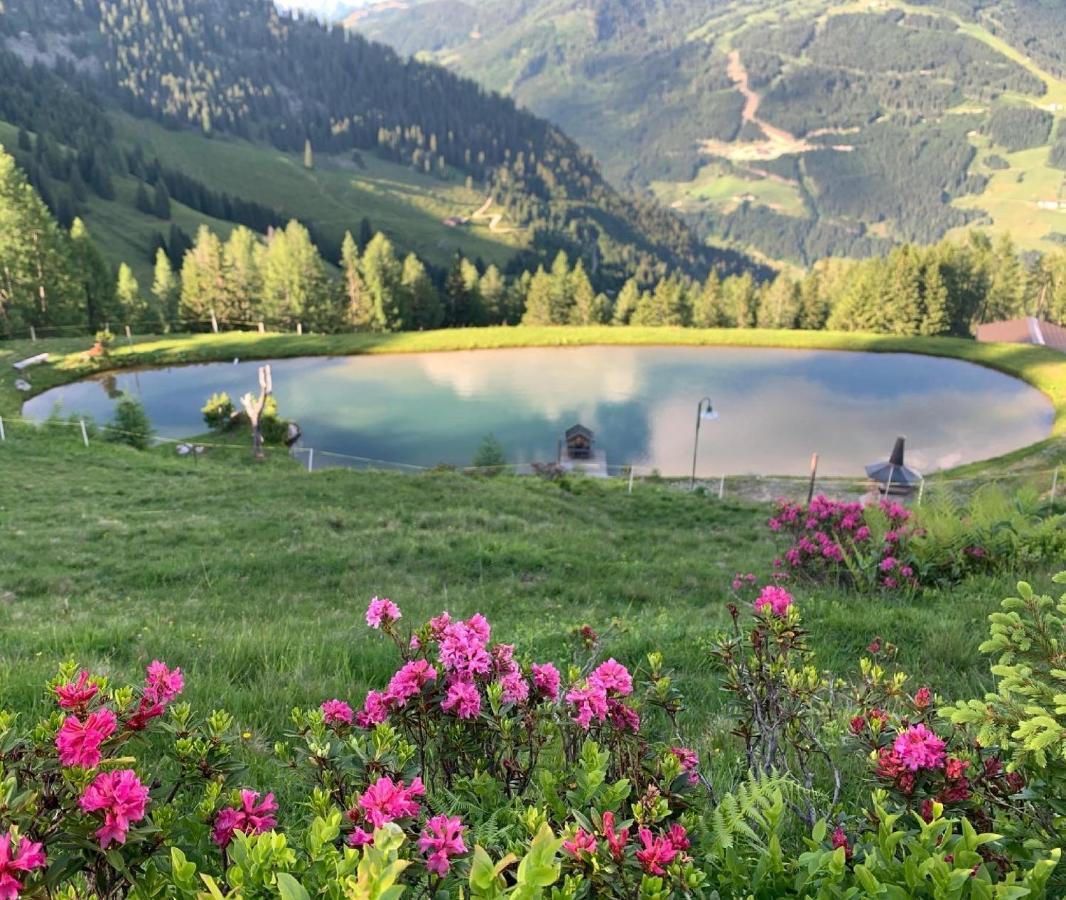 Hotel Alpina Kleinarl Exteriör bild